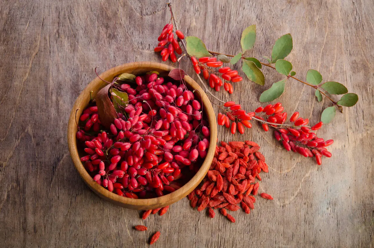 Aktiviertes Berberin